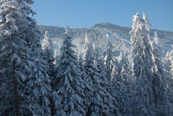 Aparthotel Borovets Gardens المظهر الخارجي الصورة