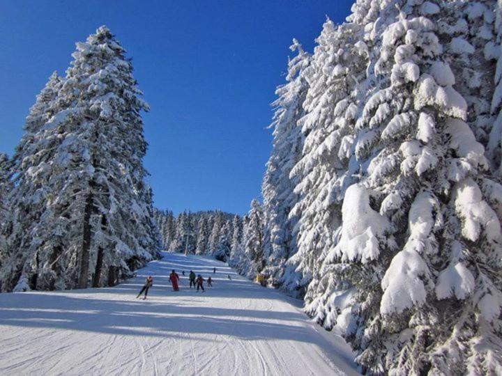 Aparthotel Borovets Gardens المظهر الخارجي الصورة